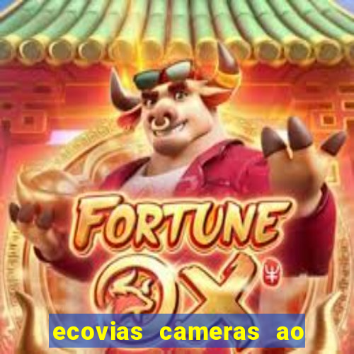 ecovias cameras ao vivo santos